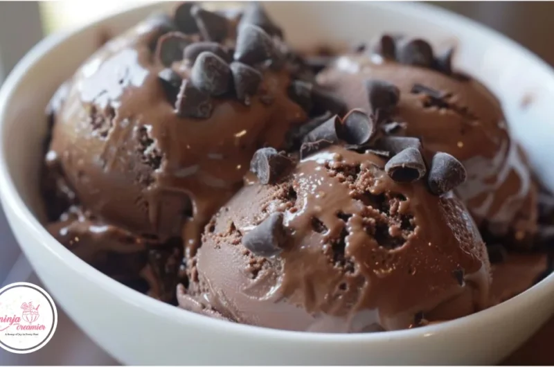 Ninja Creami Chocolate Pudding Ice Cream: A Decadent Delight