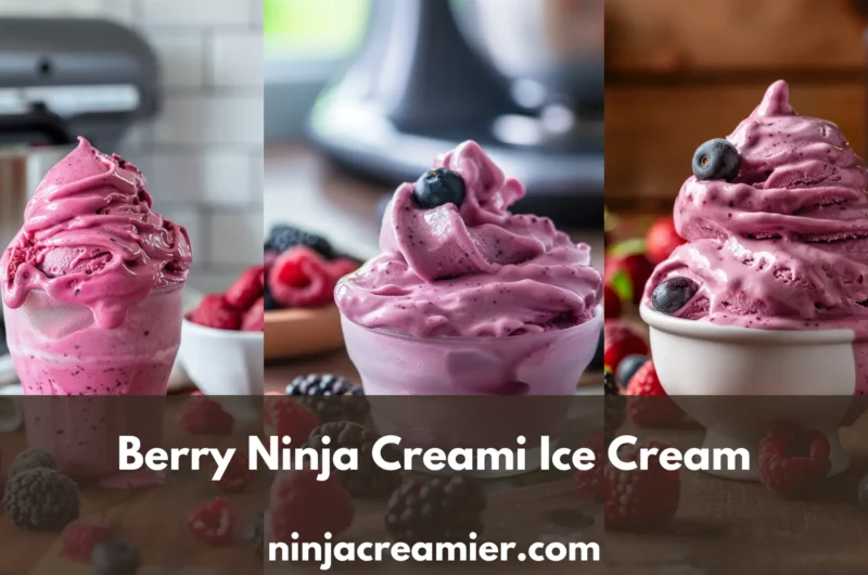 Ninja Creami Berry Ice Cream